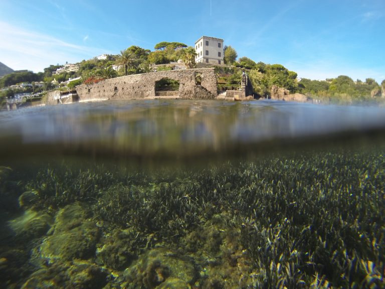 Ischia, la fine di Aenaria per un’eruzione o un terremoto? Esperti a confronto