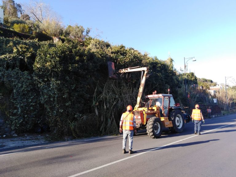 LAVORI IN CORSO SULLA SOPRAELEVATA: FINALMENTE TAGLIATE LE PIANTE CHE INVADEVANO LA STRADA