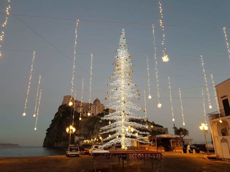 ISCHIA PONTE, CHE MAGIA: ECCO L’ALBERO!