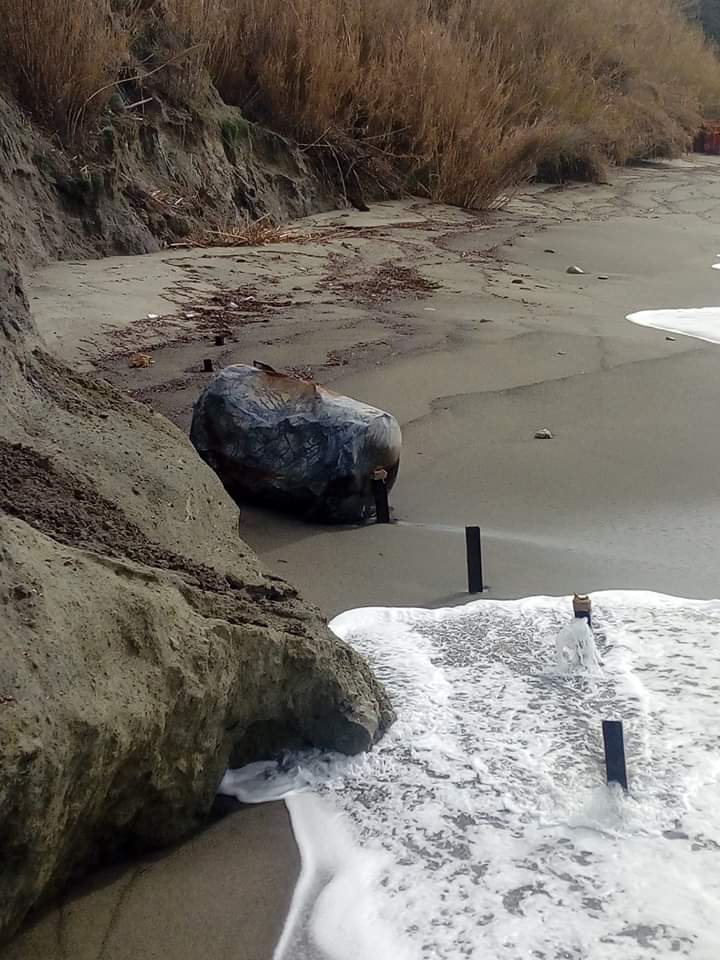 SEGNALAZIONE: UNA CISTERNA SPIAGGIATA A CAVA DELL’ISOLA, INTERVENGA LA GUARDIA COSTIERA