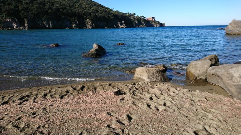 GAMBERETTI SPIAGGIATI A SAN MONTANO, EVITARE IL PRELIEVO!