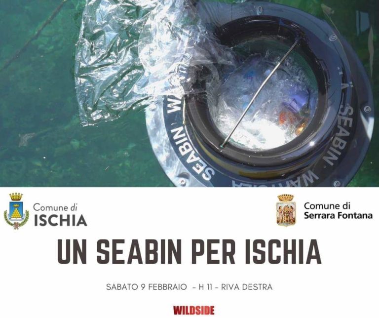 UN SEABIN PER ISCHIA: SABATO L’ATTIVAZIONE NEL PORTO