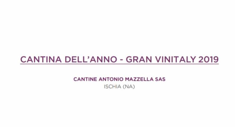 VINITALY – IL TITOLO DI CANTINA DELL’ANNO ALLE “CANTINE MAZZELLA”