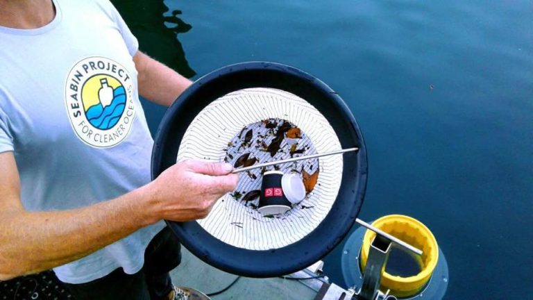 SANT’ANGELO CELEBRA IL MARE: ARRIVA IL SEABIN PER LA PULIZIA DEL PORTO