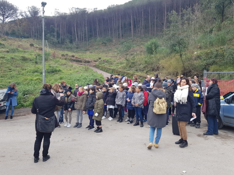 MORIA DI PINI NELLA PINETA BOSCO DELLA MADDALENA, PIANTATI CENTO ABETI