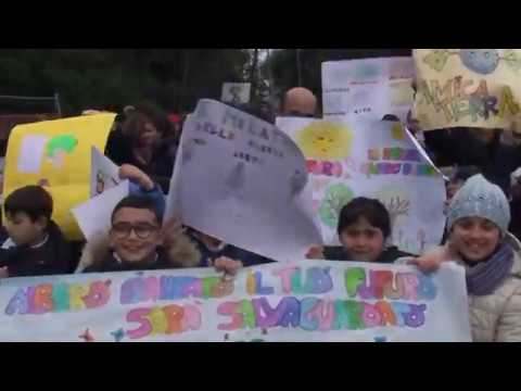 A CASAMICCIOLA PIANTATI CENTO ABETI NELLA PINETA BOSCO DELLA MADDALENA