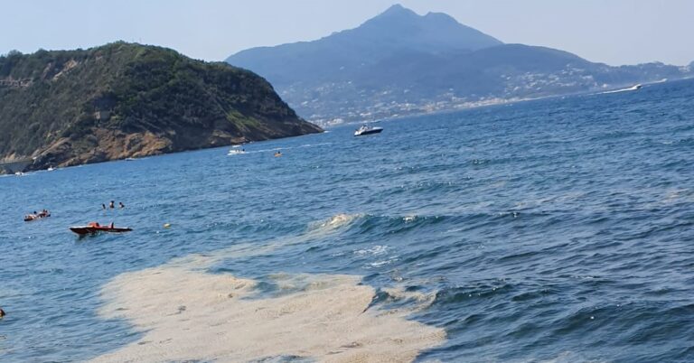 PROCIDA, CHIAZZA IN MARE: ERA MATERIALE VEGETALE