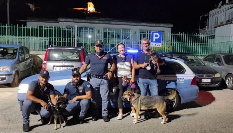 CANE SMARRITO, I POLIZIOTTI RITROVANO I PADRONI