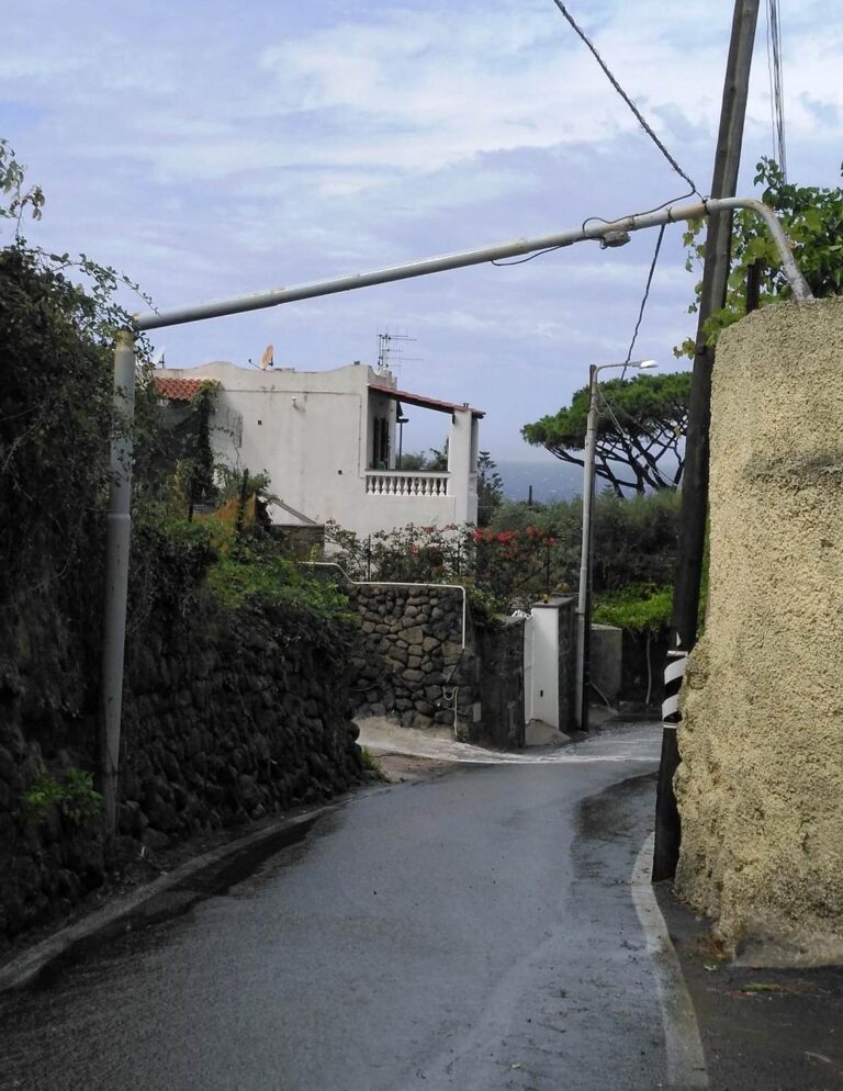 FORIO: SI SPEZZA PALO DELLA LUCE, SPAVENTO IN VIA SPINAVOLA