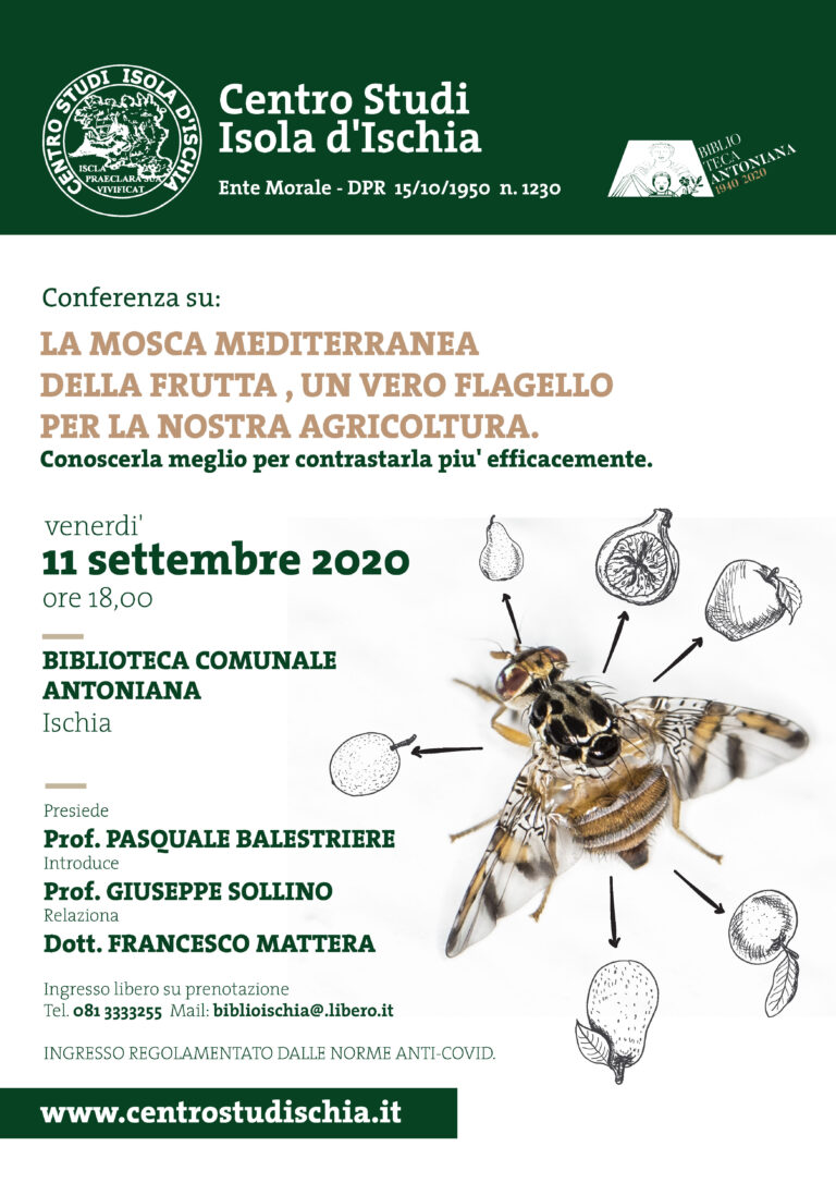 L’11 SETTEMBRE ALLA BIBLIOTECA ANTONIANA CONFERENZA SULLA MOSCA MEDITERRANEA