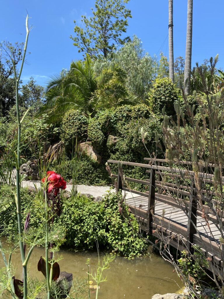 GIARDINI LA MORTELLA ISCHIA: DOPPIO CONCERTO DI VIOLINO ALLA STAGIONE CAMERISTICA DELLA FONDAZIONE WALTON