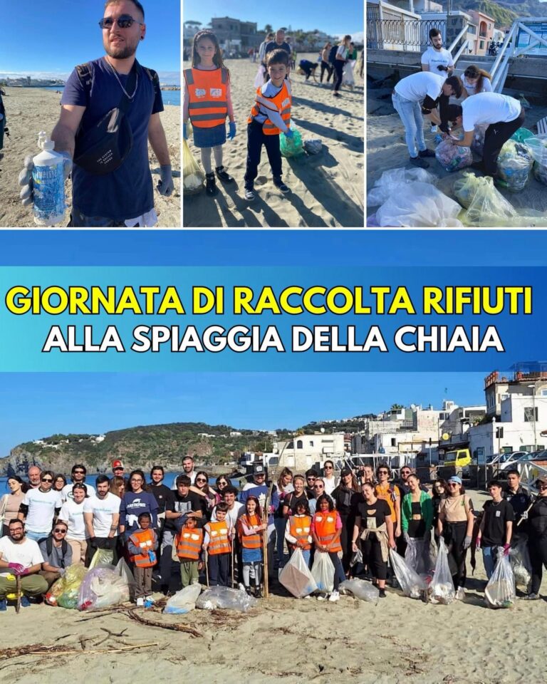 FORIO, GIORNATA RACCOLTA RIFIUTI: RIPULITA LA SPIAGGIA DELLA CHIAIA  