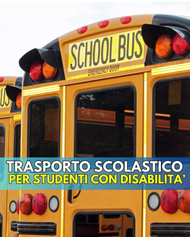 FORIO : TRASPORTO SCOLASTICO PER STUDENTI CON DISABILITA’ 