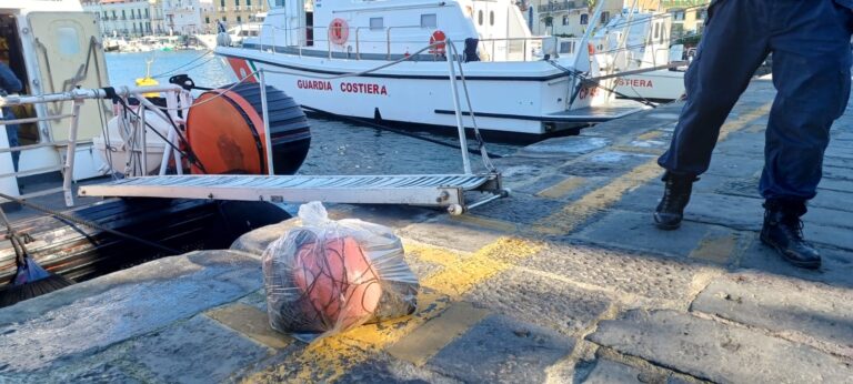 MARE PULITO CON IL REGNO DI NETTUNO: RECUPERATI RIFIUTI NELLA SECCA DELLA CATENA