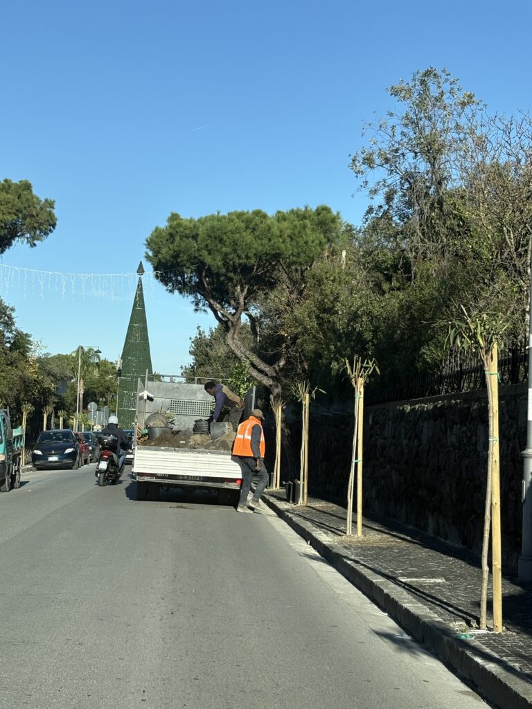 Ischia: Via M. Mazzella sempre più “green”